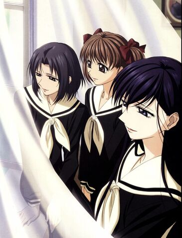 File:Chinensis Sisters 2.jpg