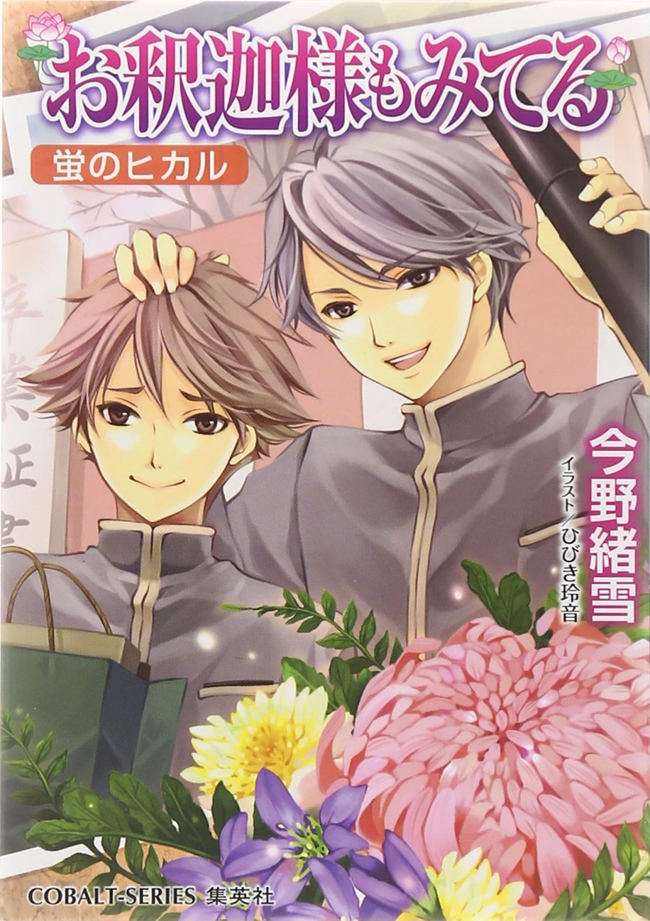 Maria Sama Ga Miteru Light Novel