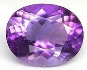 Gema Purpura.jpg