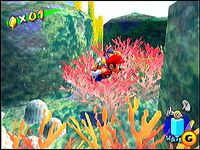 Coralreef65