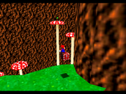Whomps Forest Star 5