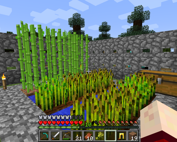 File:MostModernPictureOfMariosFortFarm.png
