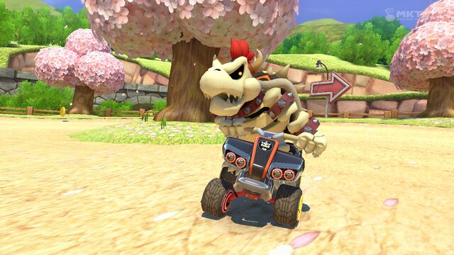 File:DryBowser-AnimalCrossingSpring-MK8.jpg