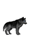 Thumbnail for version as of 20:15, November 17, 2013