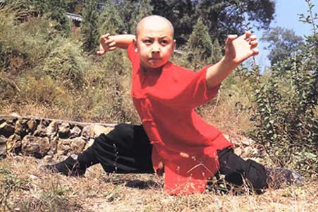 Shaolin pao quan 02