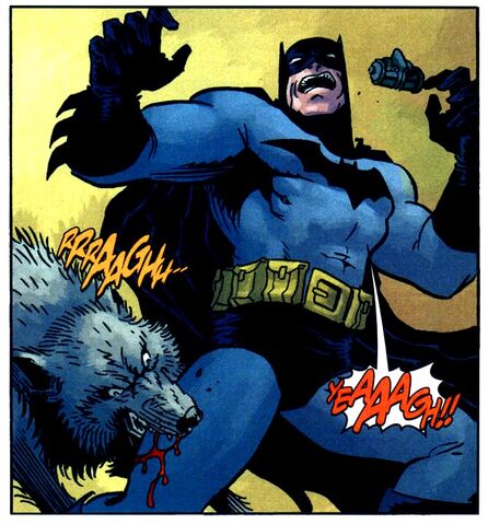 File:Batman 0597.jpg