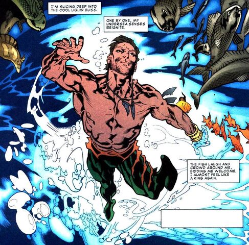 File:Aquaman 0067.jpg