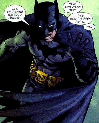 File:Batman 0303.jpg