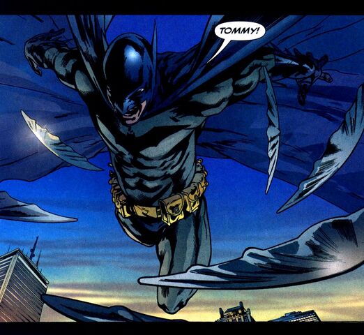 File:Batman 0288.jpg