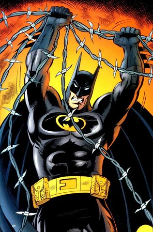 File:Batman 0555.jpg