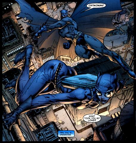File:Catwoman 0014.jpg