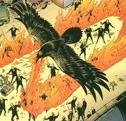 Clarathea Bird Fables01