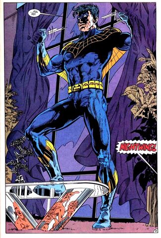 File:Nightwing 0028.jpg