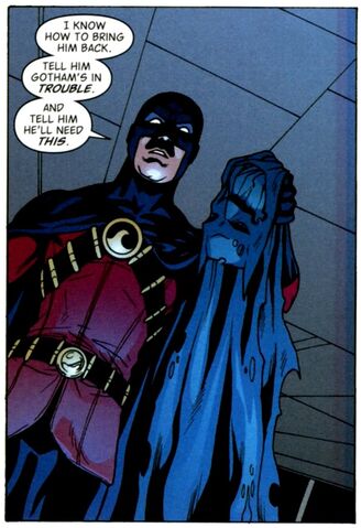 File:Red Robin 0032.jpg