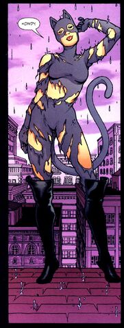 File:Catwoman 0022.jpg