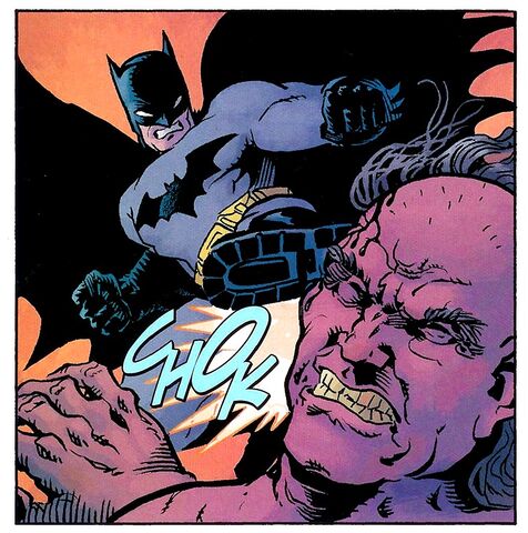 File:Batman 0490.jpg