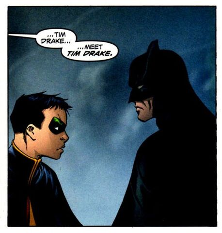 File:Batman Titans Tomorrow 003.jpg
