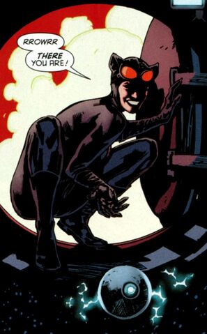 File:Catwoman 0062.jpg
