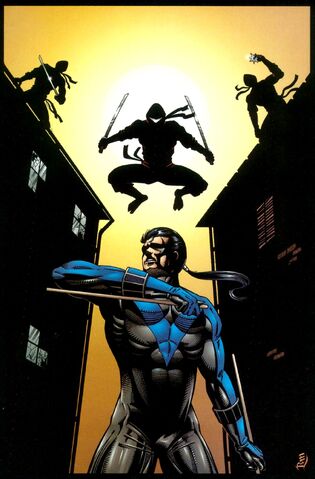 File:Nightwing 0015.jpg