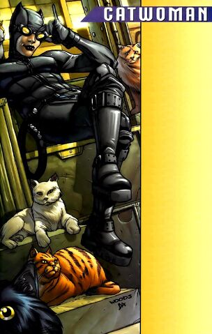 File:Catwoman 0057.jpg