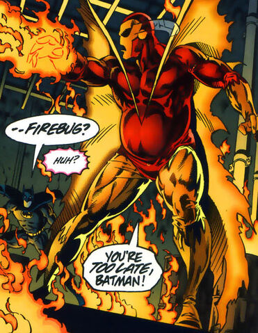 File:Firebug 004.jpg