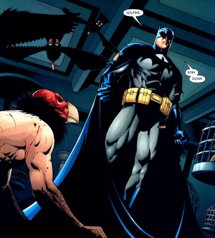 File:Batman 0355.jpg