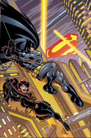 File:Batman 0638.jpg