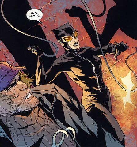 File:Catwoman 0126.jpg