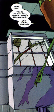 File:Trick Arrows 002.jpg