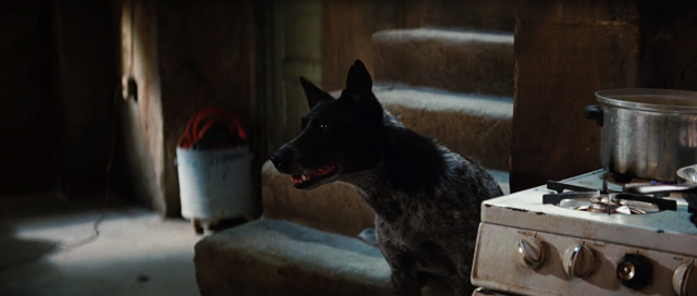 File:Incredible-hulk-movie-screencaps.com-379.png