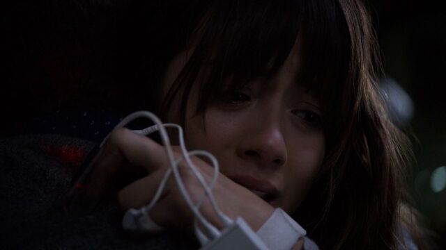 File:Skye-Leo-Fitz-Comfort.jpg
