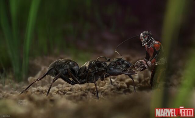 File:Ant-Man concept art 10.jpg