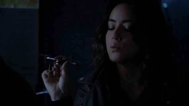 File:AUH Daisy new D.W.A.R.F..jpg