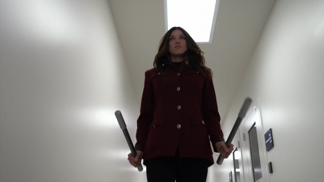 File:Battle Staves.png