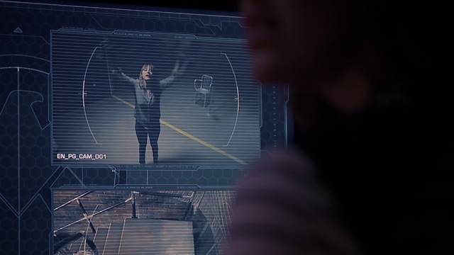 File:Vault D Skye.png