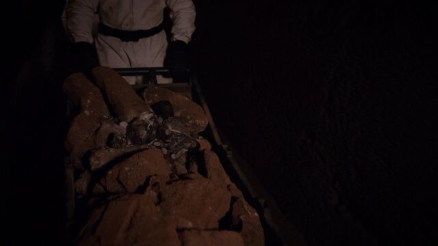 File:Trip's remains.jpg