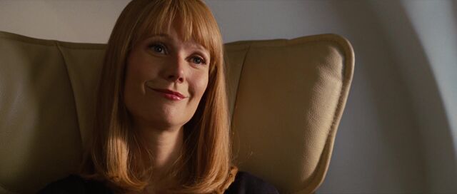 File:Pepper-Potts-Private-Plane-IM2.jpg