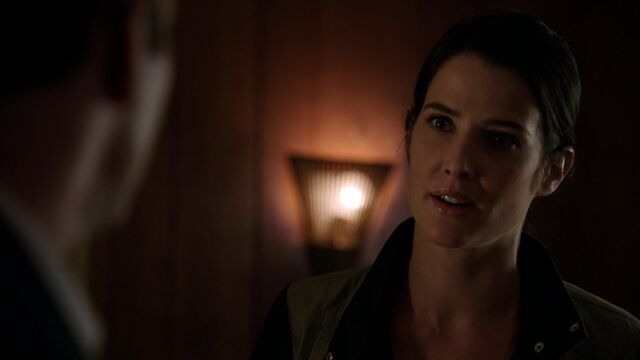 File:Maria-Hill-Speaks-to-Coulson.jpg