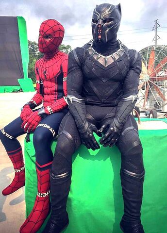 File:Spider and Panther BTS.jpg