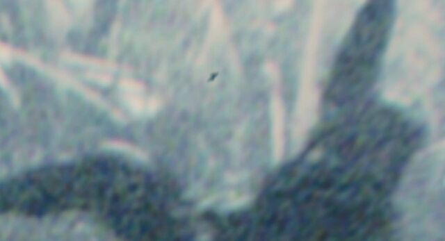 File:Antman 01032-1-.jpeg