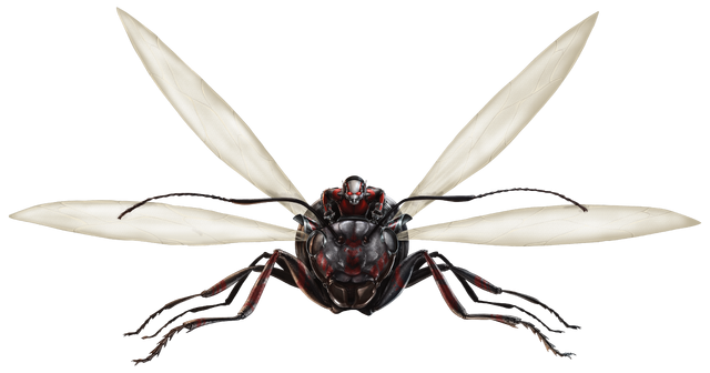 File:Ant-thony FH.png