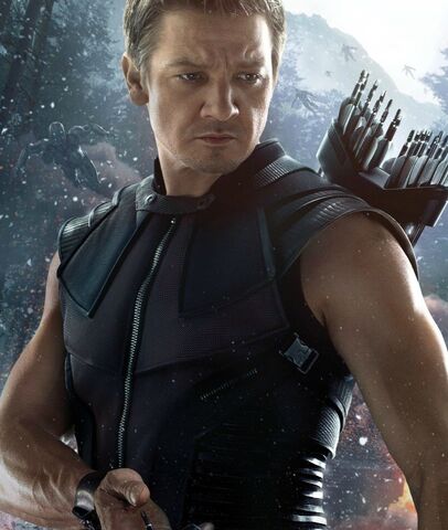 Soubor:Hawkeye.jpg