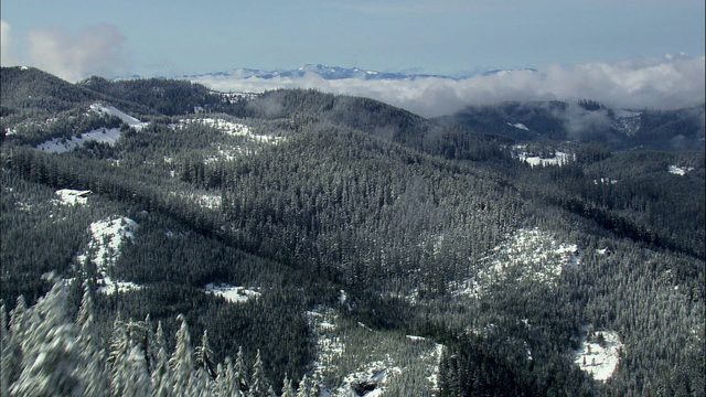File:Providence Wilderness.png