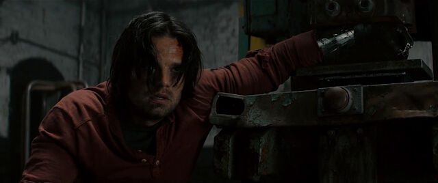 File:AntBucky.jpg