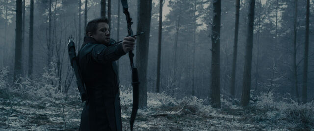 File:Video-avengers-age-of-ultron-hawkeye-doesnt-see-it-coming-videoSixteenByNine1050-1-.jpg