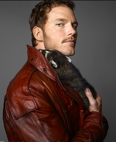 File:Star-Lord EW raccoon.png