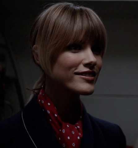 File:Flight Attendant.png