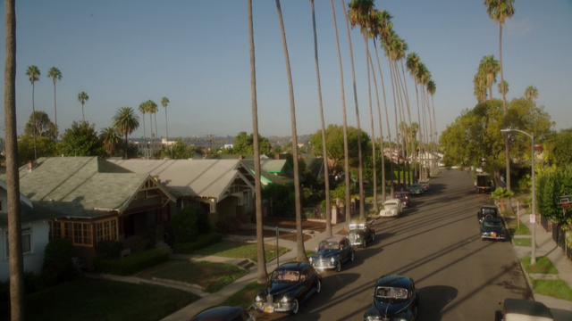 File:L.A Palm Trees (2x03).png