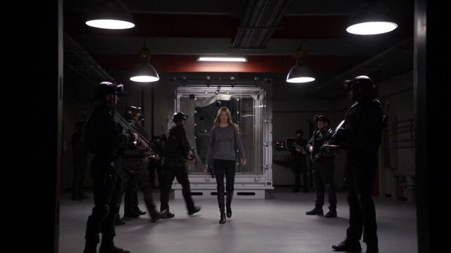 File:Bobbi-Morse-guarding-KreeStone.jpg