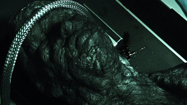 File:Hive terrigenesis.png